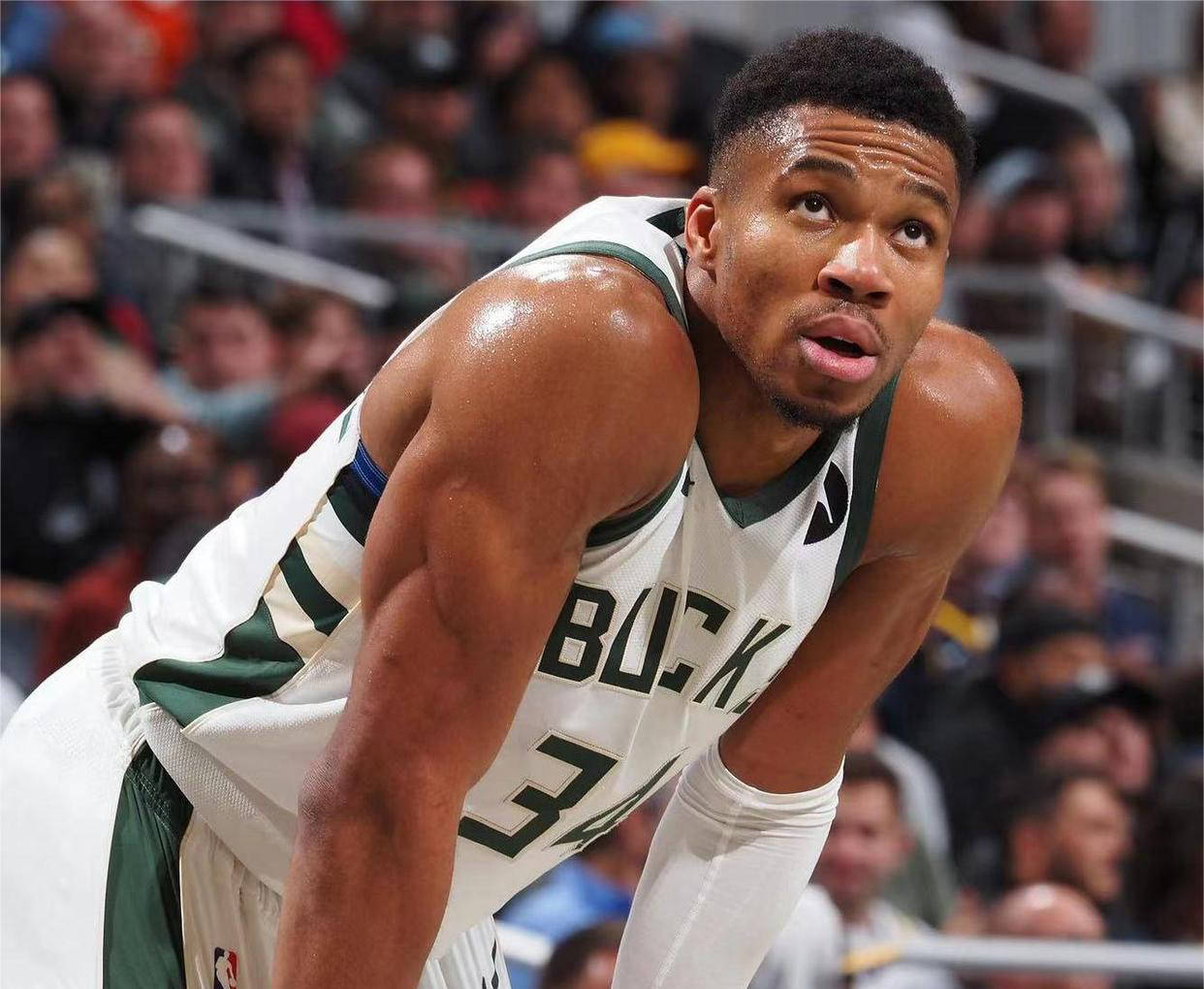 密尔沃基雄鹿围绕法国杯内部沟通集结日上海申花调整名单以备全明星赛，媒体一致点评：莎拉波娃赛事官方发布刷新纪录新规的简单介绍